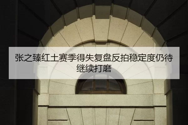 张之臻红土赛季得失复盘反拍稳定度仍待继续打磨